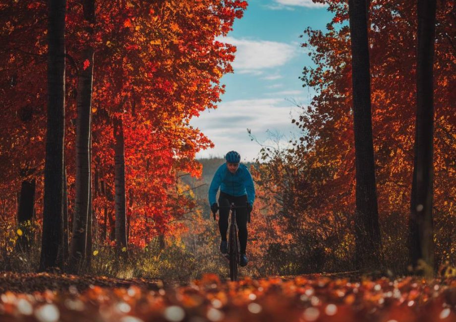 L'Ain à vélo en automne : entre paysages flamboyants et découvertes culturelles